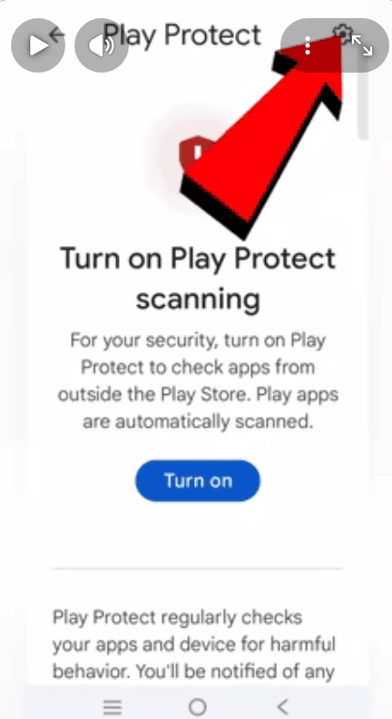 Play Protect screen with settings gear icon highlighted